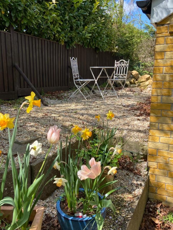 Swallow Cottage Castle Cary Extérieur photo